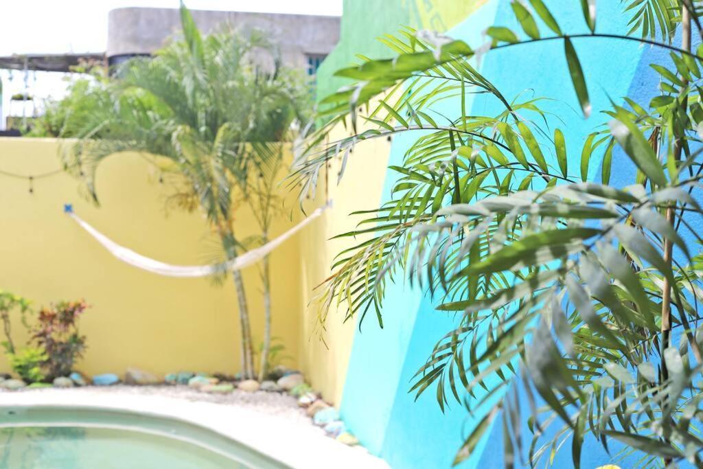 Studio -Trees At Mikasa- Near Beach, Pool, Fast Wifi, Ac & King Bed Puerto Escondido  Eksteriør bilde